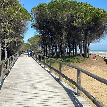 Warm And Bright In Near The Sea